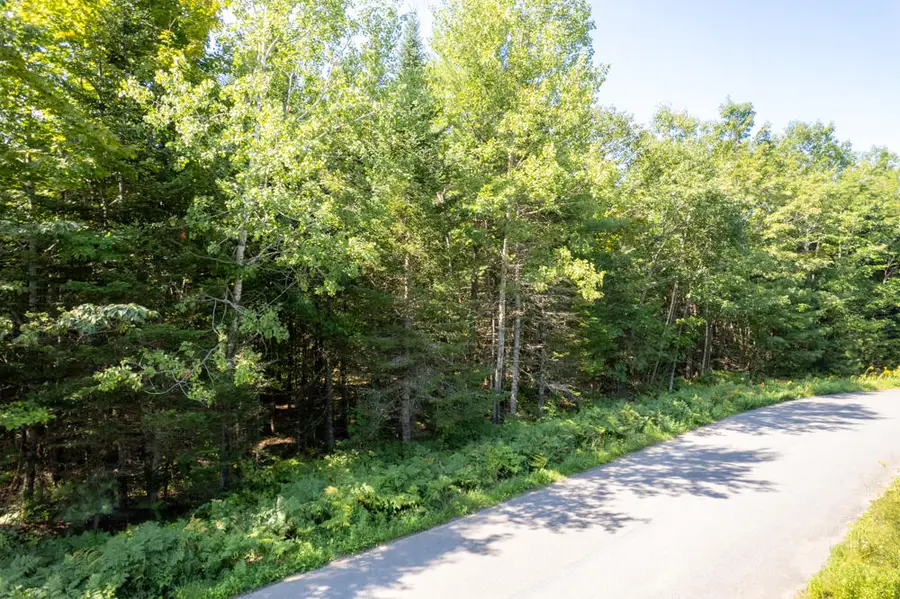 Lot 3 Mcgrath Pond Loop Road, Belgrade, ME 04917 - #2