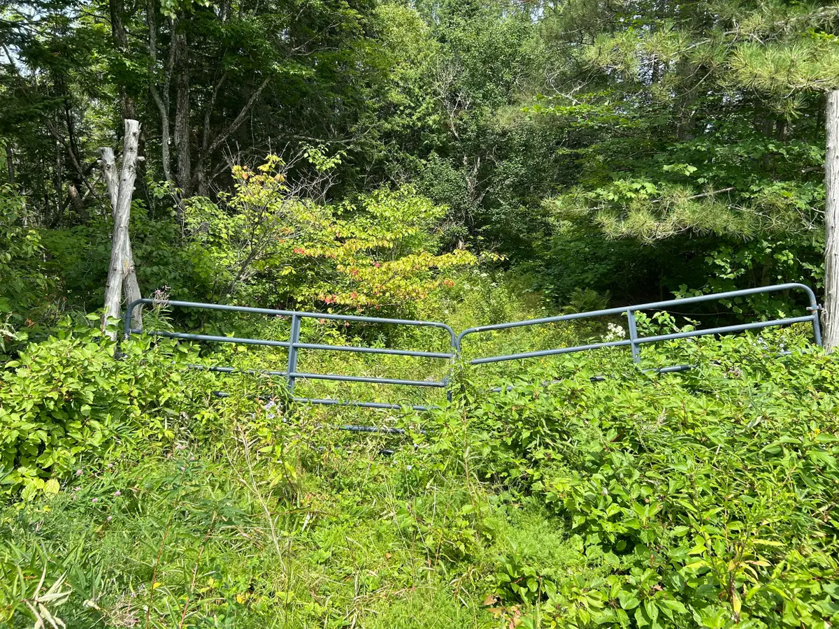 M12-GL122- East Road, New Sweden, ME 04762 - #1