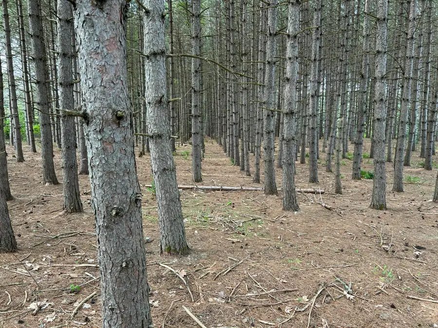 M12-GL122- East Road, New Sweden, ME 04762 - #3