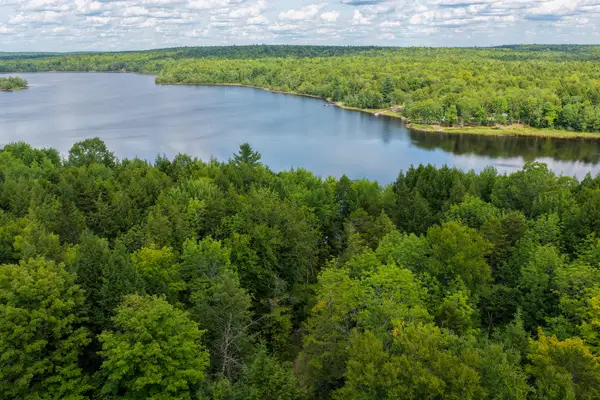 11 Hammie Road, Molunkus Twp, ME 04459