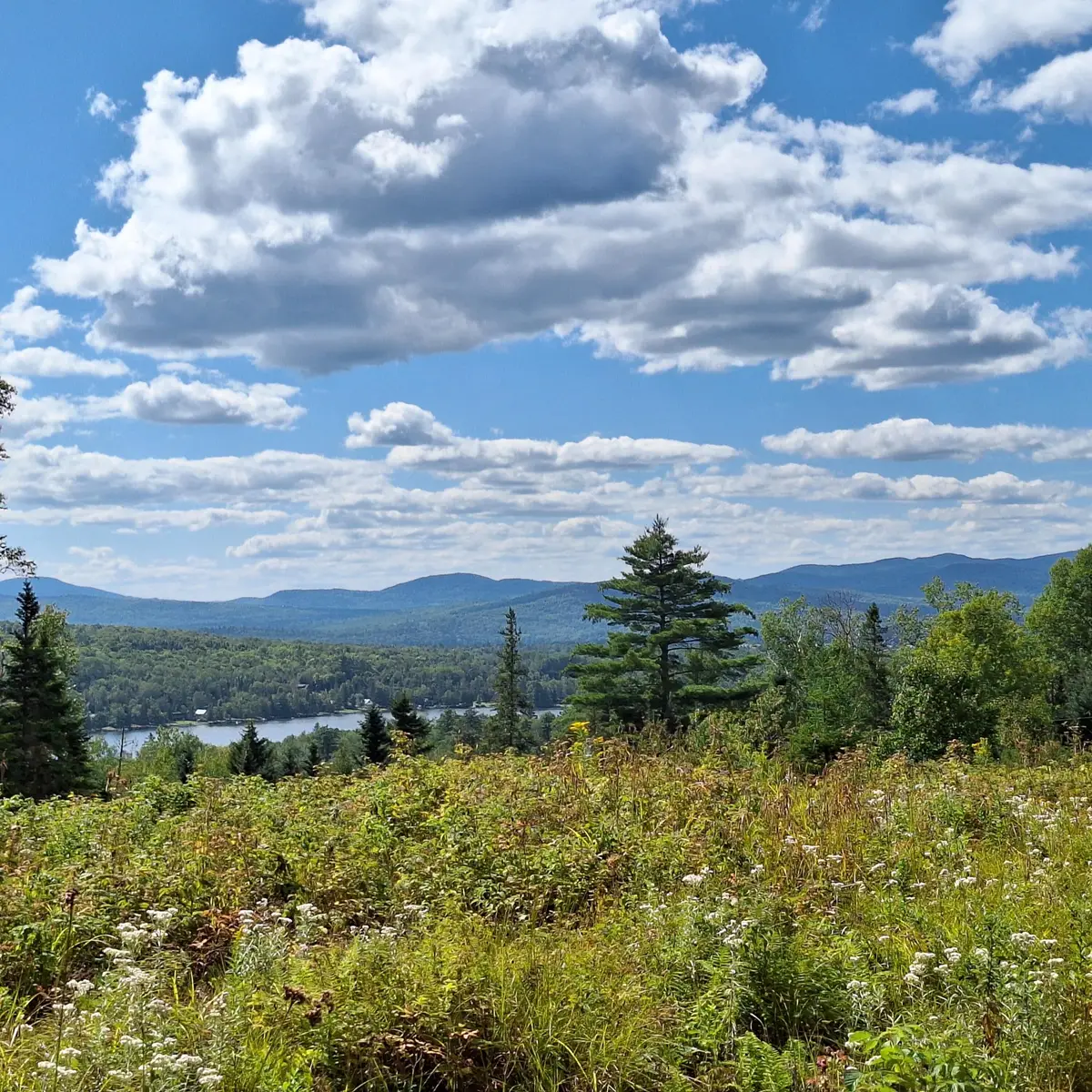 Lot #9 Wheeler Road #9, Rangeley, ME 04970 - #1