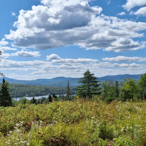 Lot #9 Wheeler Road #9, Rangeley, ME 04970