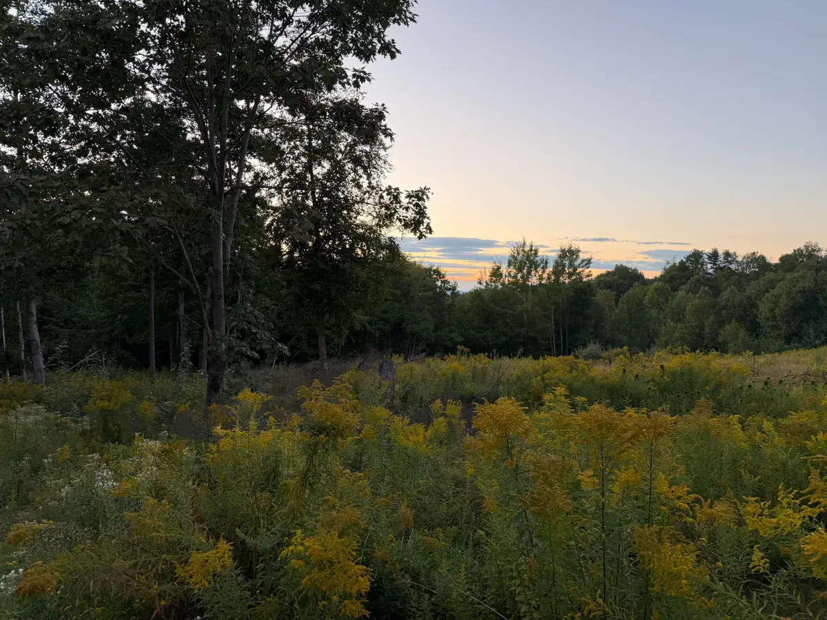319 Parsons Road, Presque Isle, ME 04281 - #1