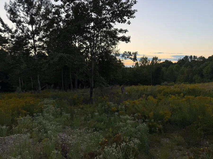 319 Parsons Road, Presque Isle, ME 04281 - #2