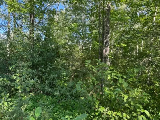 6-13 Old Town Road, Hudson, ME 04449 - #2