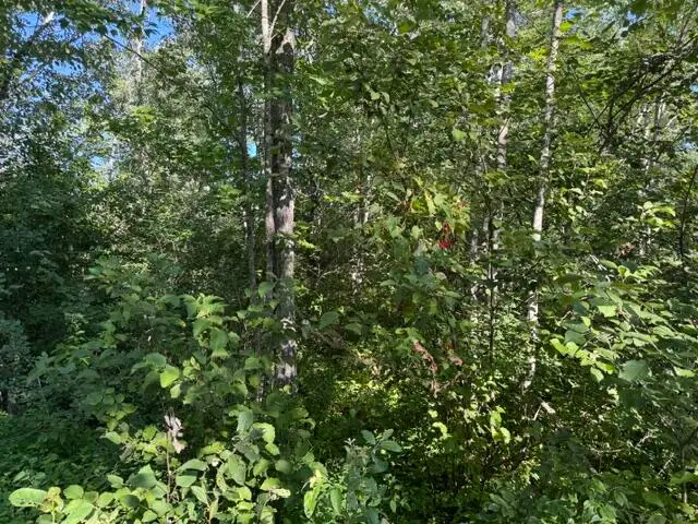 6-13 Old Town Road, Hudson, ME 04449 - #3