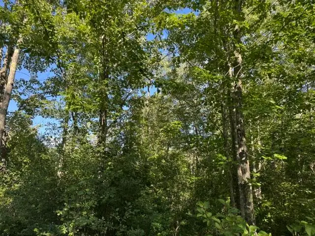 1-17A Hudson Hill Road, Hudson, ME 04449 - #2