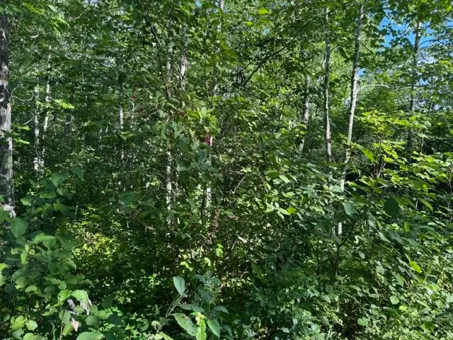 1-17A Hudson Hill Road, Hudson, ME 04449 - #3