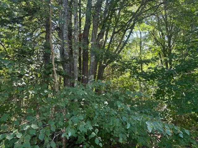 7-4 Station Road, Bradford, ME 04410 - #3