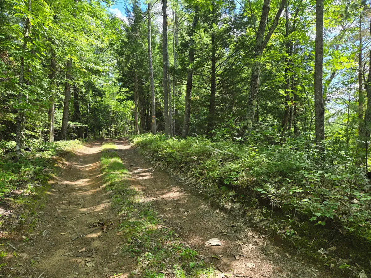 Lot 8 East Andover Road, Andover, ME 04216 - #1