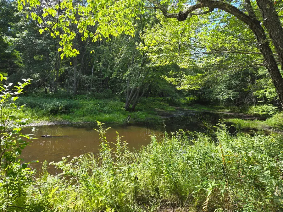 Lot 8 East Andover Road, Andover, ME 04216 - #2