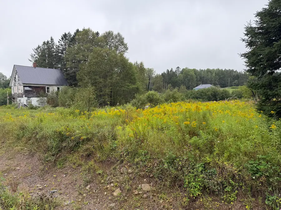 352 Ladner Road, Easton, ME 04740 - #3