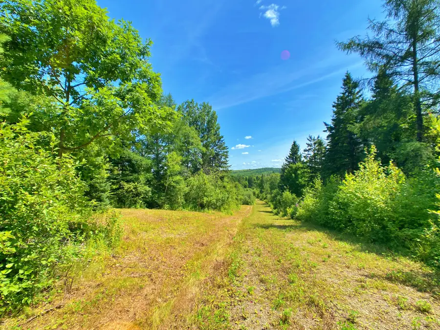 M11L114.5G New Sweden Road, New Sweden, ME 04762 - #3