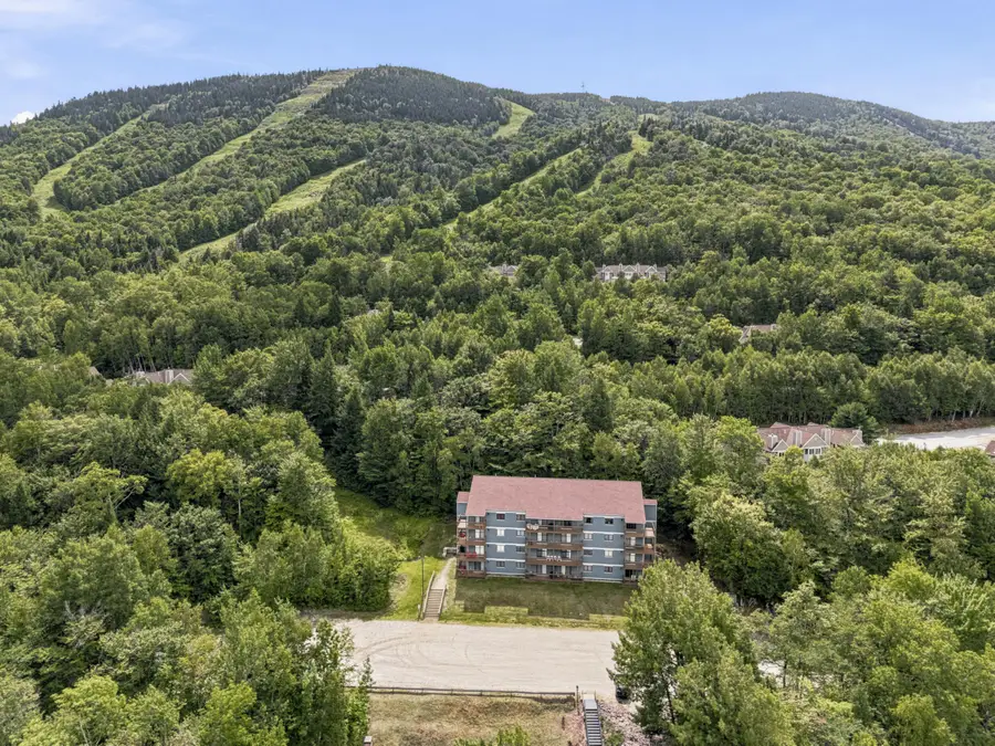 23 White Cap Village Road #A403, Newry, ME 04261 - #2