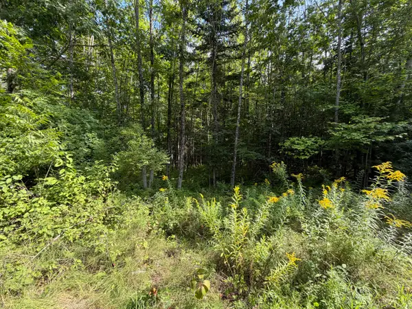 TBD Stoneybrook Drive #Lot 1, Oakland, ME 04963