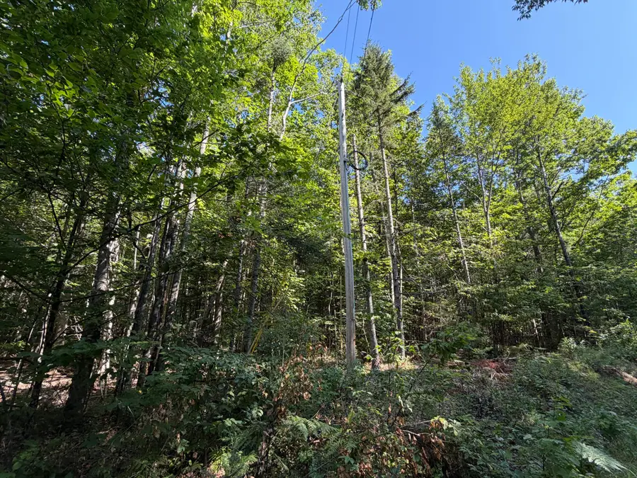Map 9 Lot 16-10 Clark Richardson Road, Garland, ME 04939 - #2