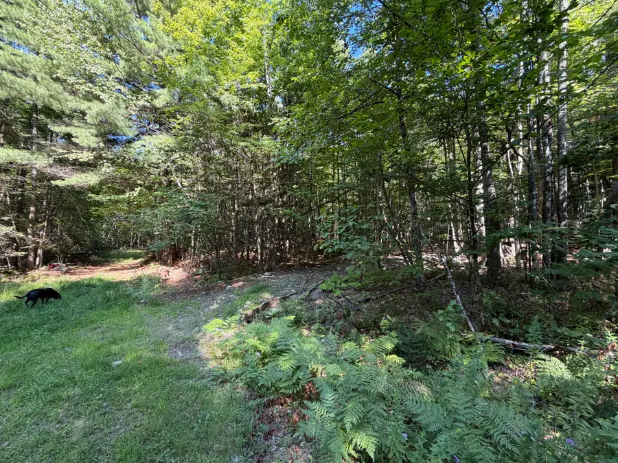 Map 9 Lot 16-10 Clark Richardson Road, Garland, ME 04939 - #3