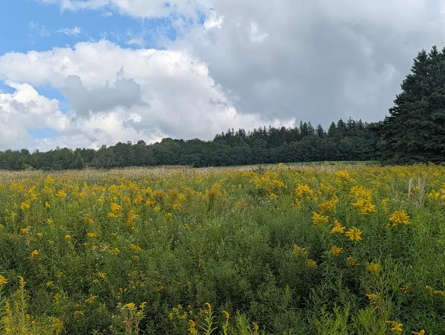 NA E Presque Isle Road, Caribou, ME 04736 - #2