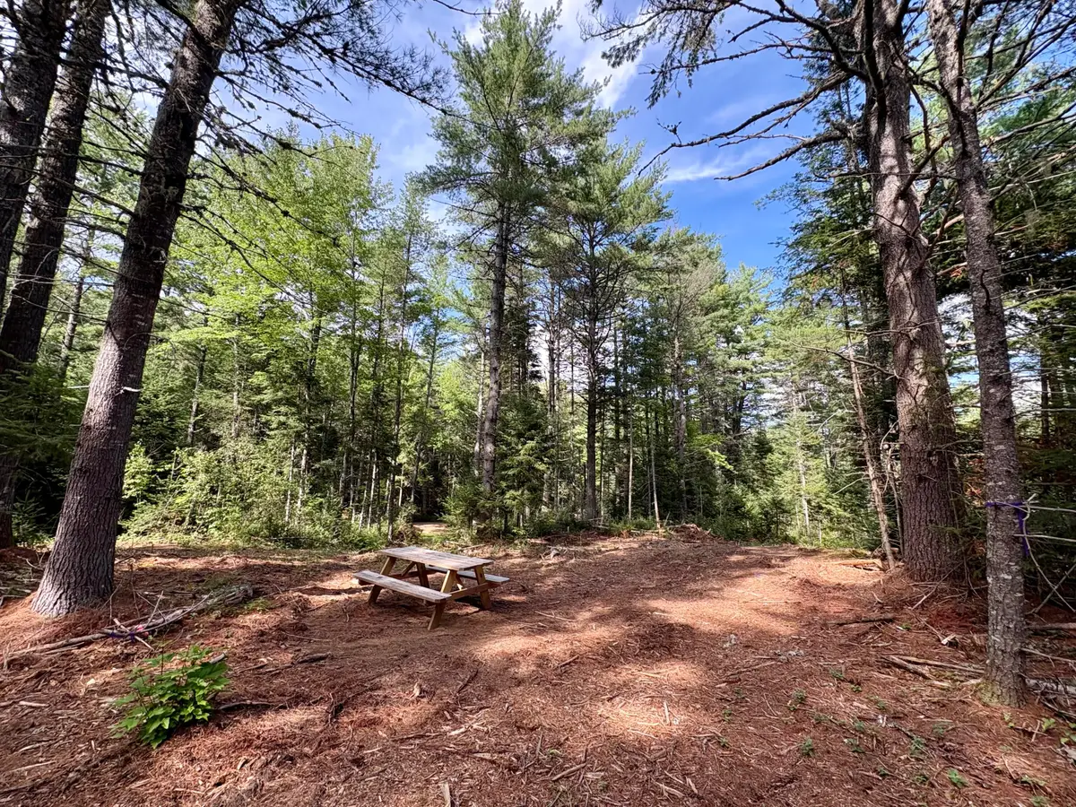 WestM2L2-2 Potter Brook Road, Winn, ME 04495 - #1