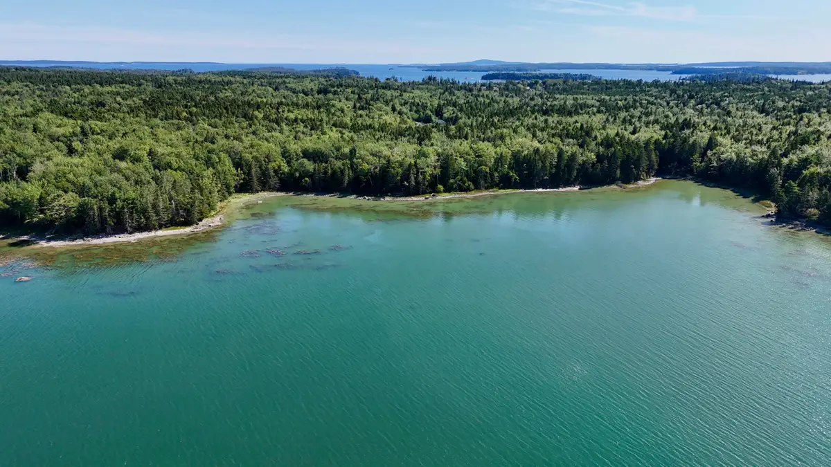 00 Periwinkle Lane, Brooklin, ME 04616 - #1