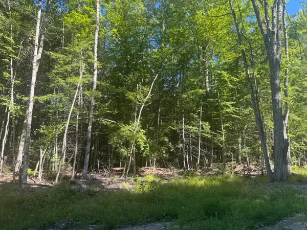 Lot 7 Alice Drive, Limerick, ME 04048