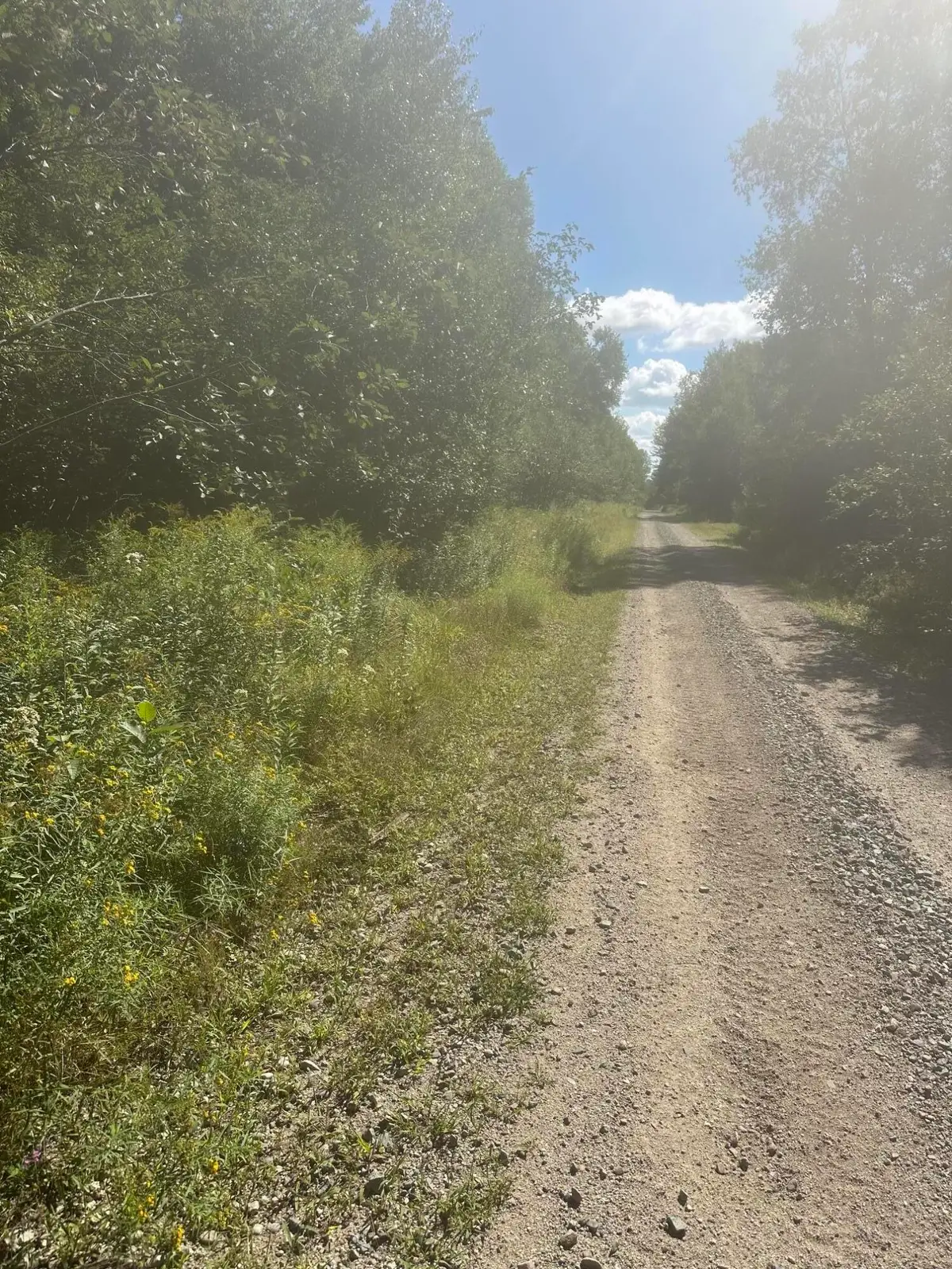 Map3 Lot2 Railroad Street, Harrington, ME 04643 - #1