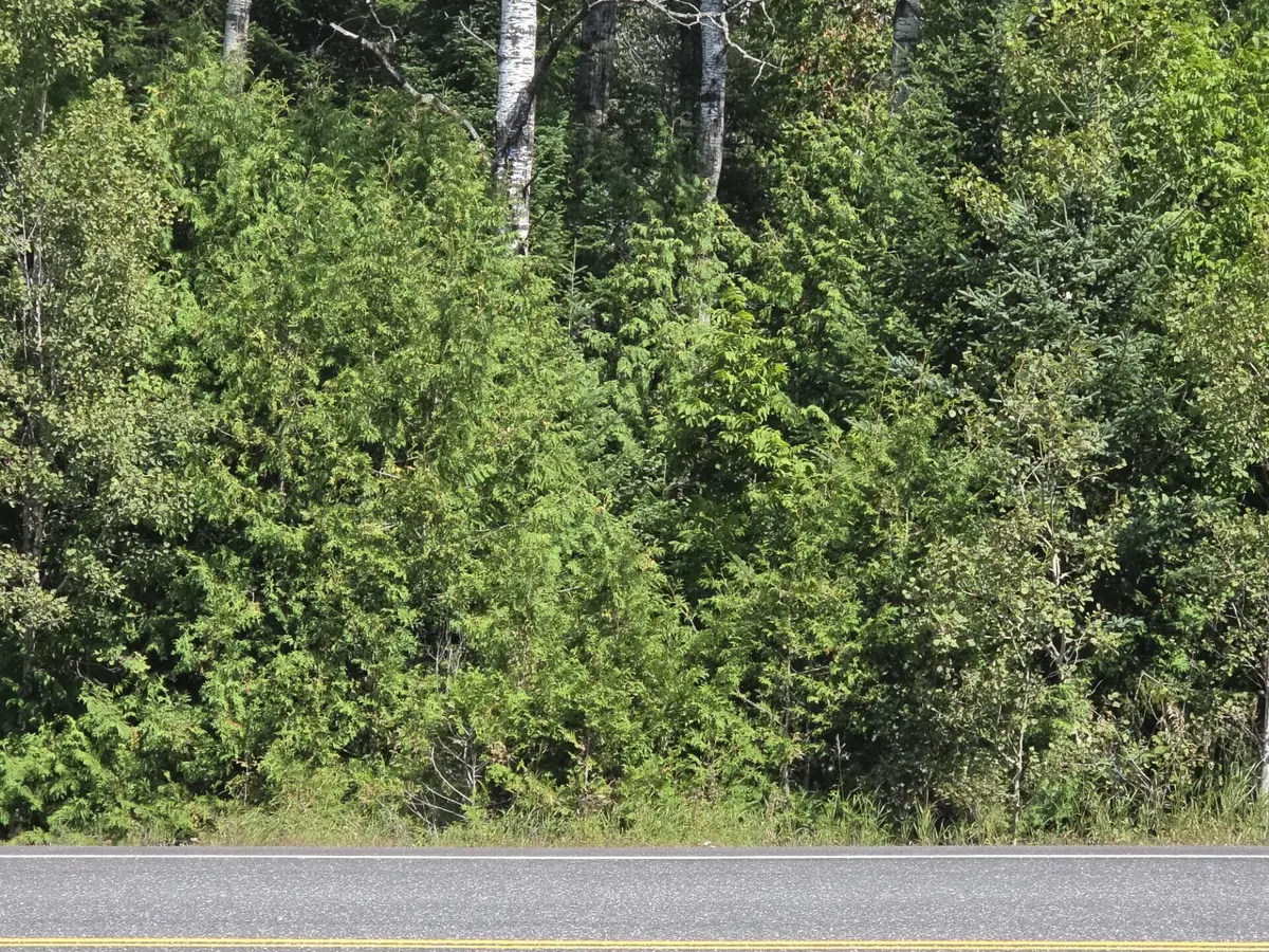 M6L10 New Sweden Road, Stockholm, ME 04783 - #1