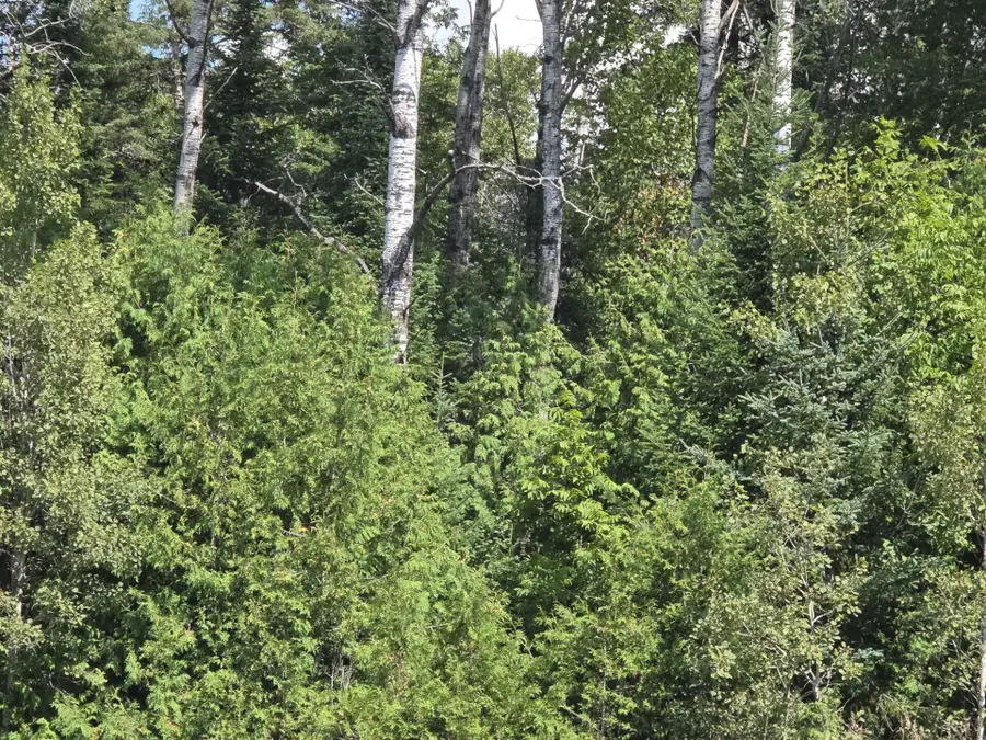M6L10 New Sweden Road, Stockholm, ME 04783 - #2