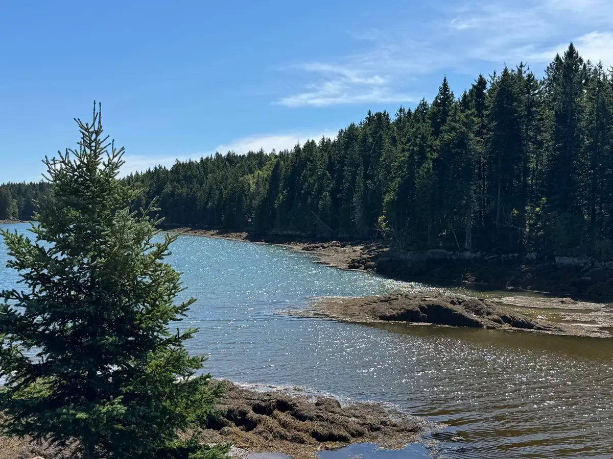 Lot 102.1 Dixie Road, East Central Washington, ME 04652 - #1