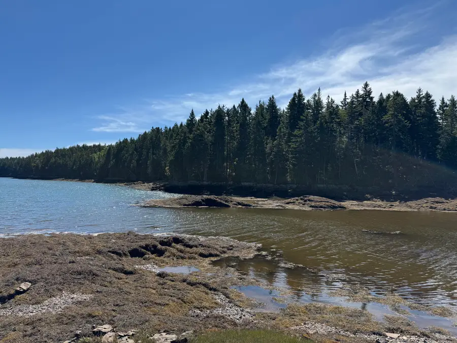 Lot 102.1 Dixie Road, East Central Washington, ME 04652 - #2