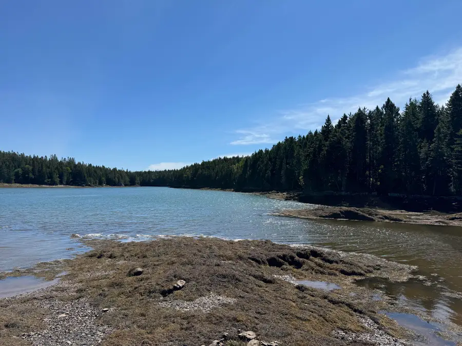 Lot 102.1 Dixie Road, East Central Washington, ME 04652 - #3