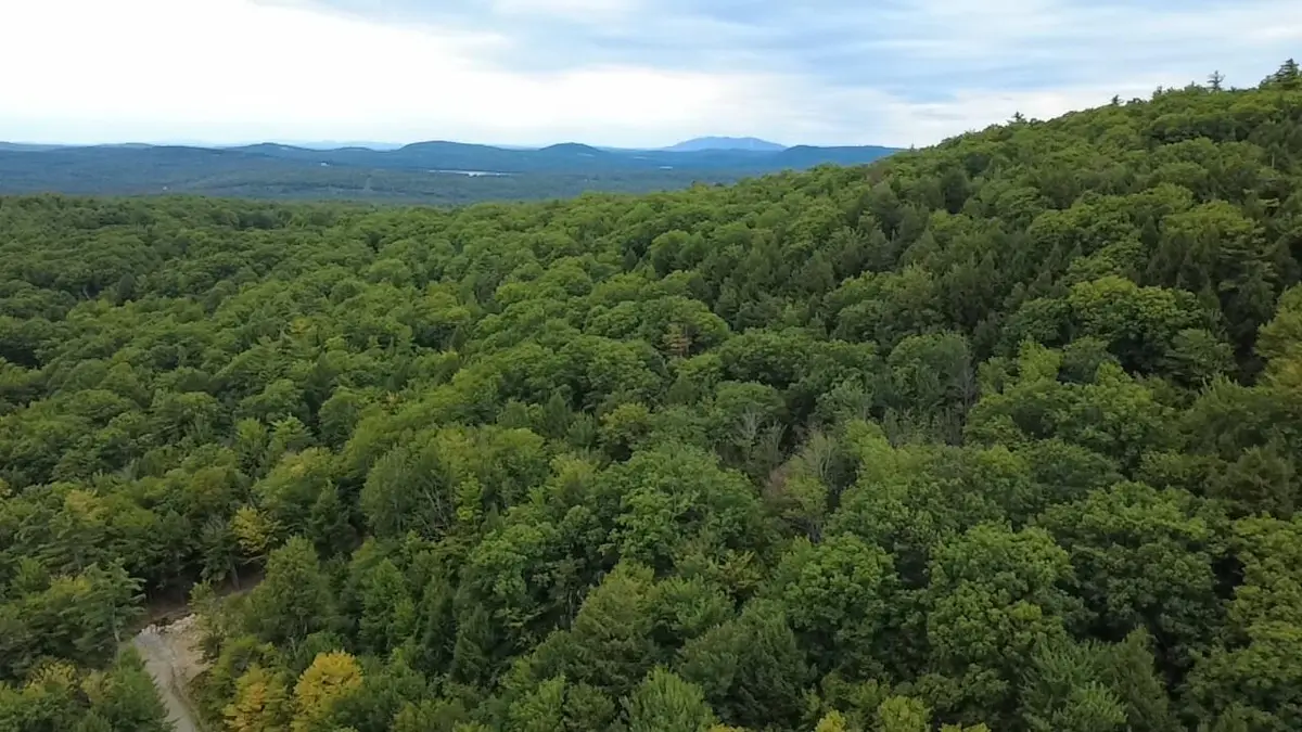 21 Lyman Herrick Road, Norway, ME 04268 - #1