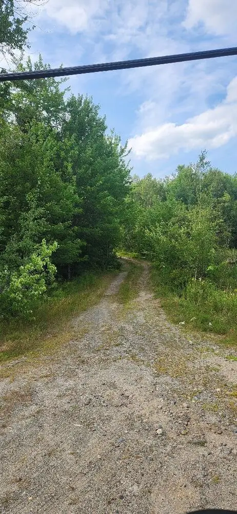 Lot # 0 Greenfield Road, Greenbush, ME 04418 - #2