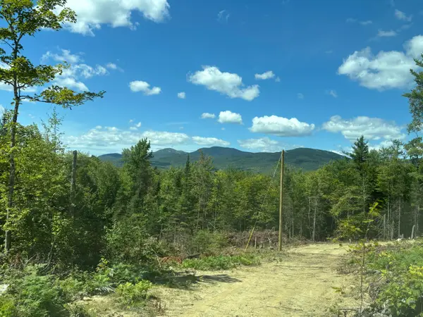 Lot 07 Brown Neighborhood Road, Weld, ME 04285