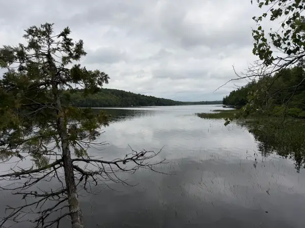 Map 9 Lot 6 Raspberry Lane, Ripley, ME 04930