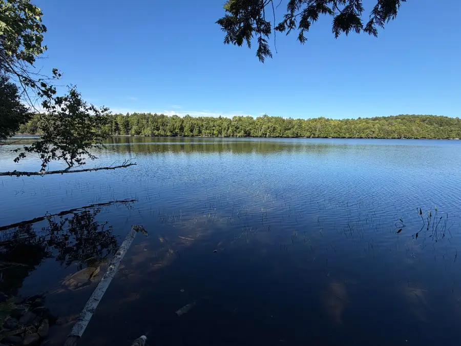Map 9 Lot 6 Raspberry Lane, Ripley, ME 04930 - #2