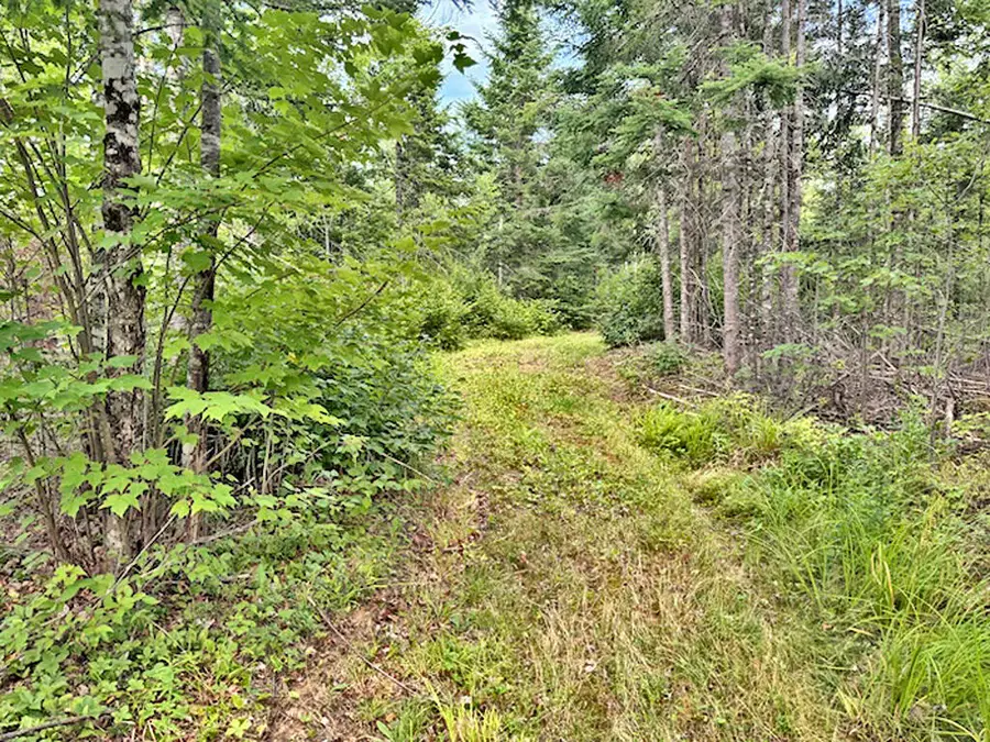 Lot 33-1A Smith Road, South Aroostook, ME 04471 - #2