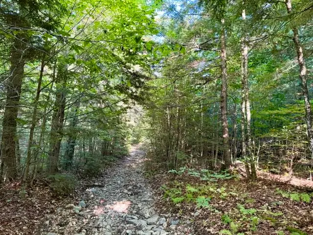 Lot 11  Baker Pond Road, Solon, ME 04979 - #2