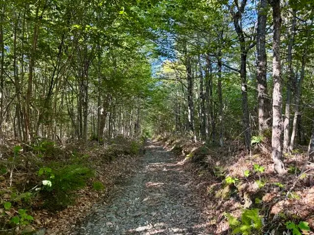 Lot 11  Baker Pond Road, Solon, ME 04979 - #3