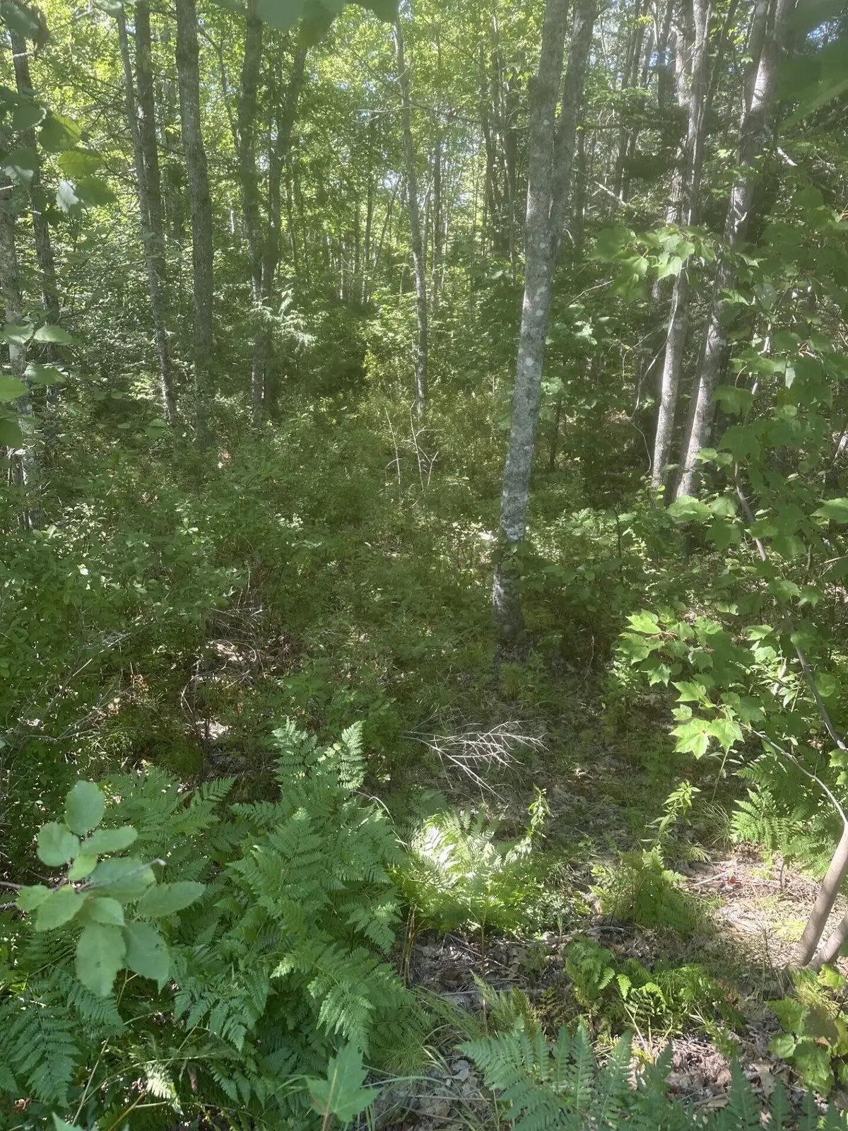 Lot 2 W Side Unionville Road, Steuben, ME 04680 - #1