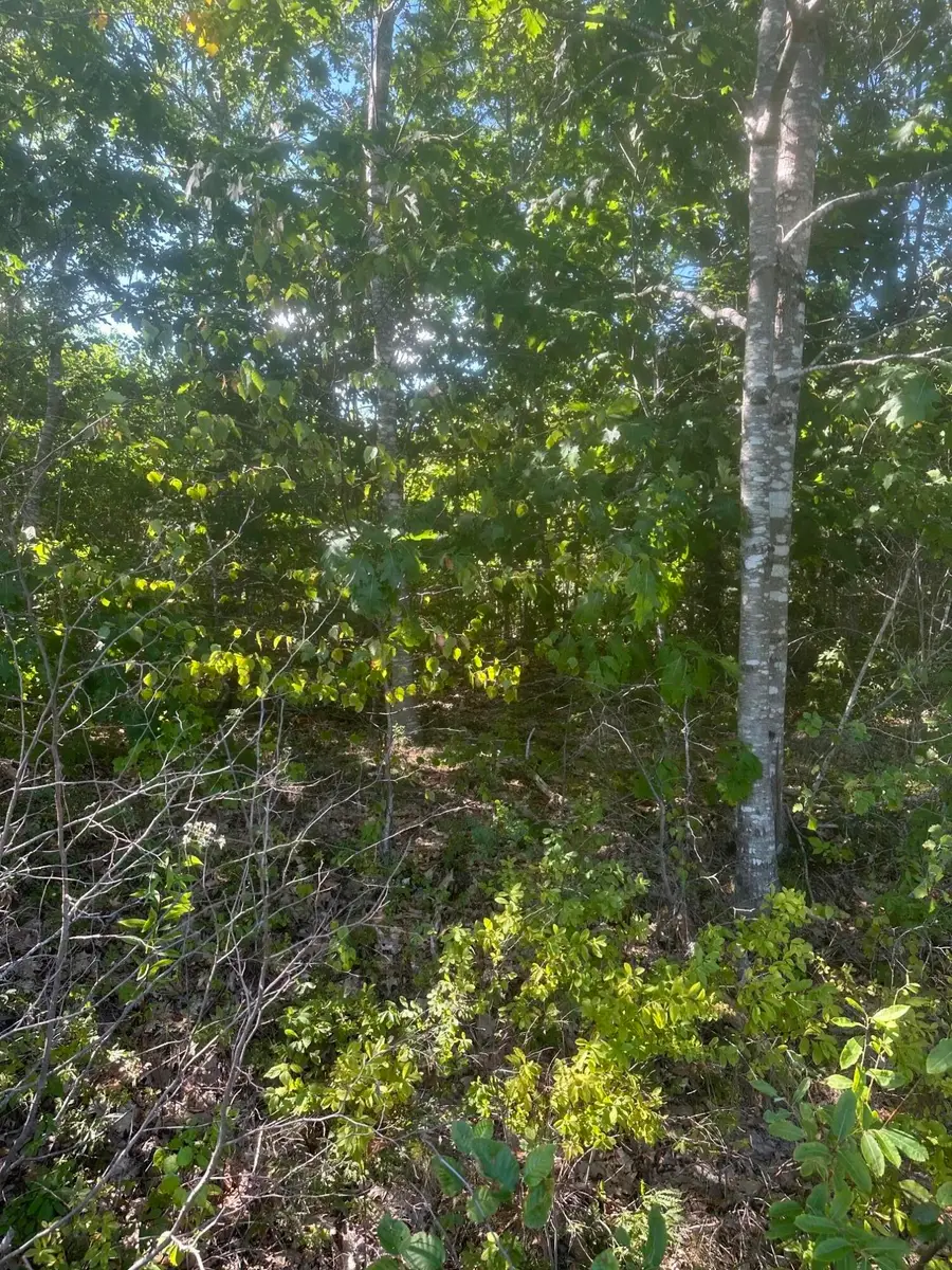 Lot 2 W Side Unionville Road, Steuben, ME 04680 - #3