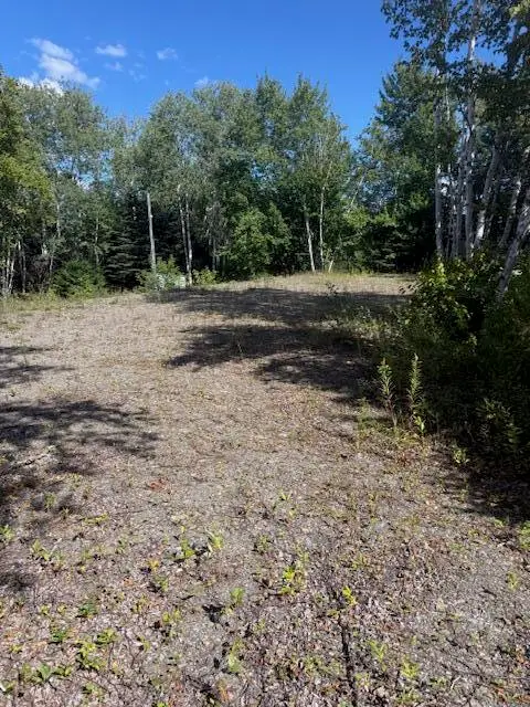 1780 Hamlin Road, Hamlin, ME 04785 - #3