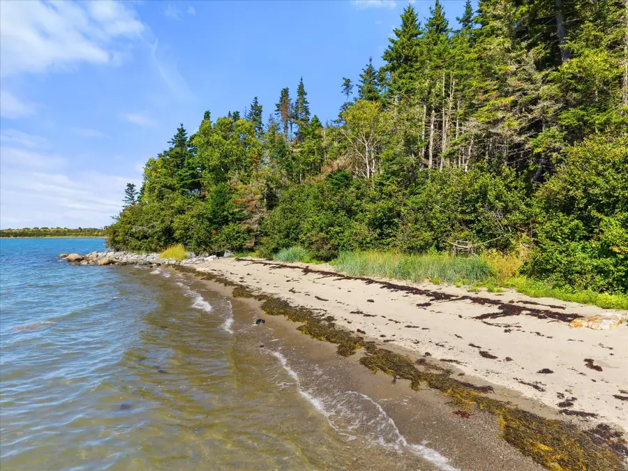 Lot 15 Ackley Road, Cutler, ME 04626 - #3