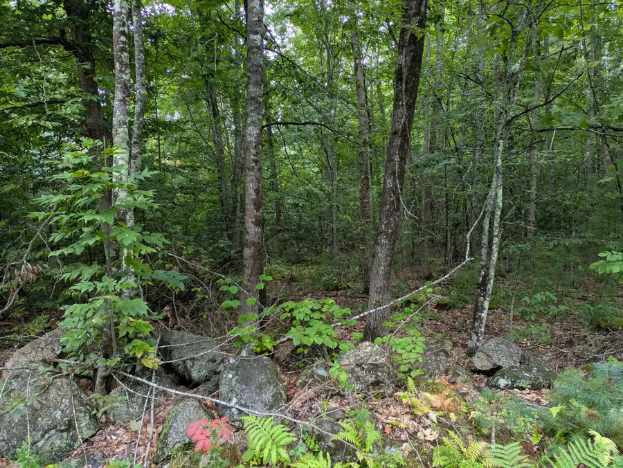 135 Old Country Way, Limerick, ME 04048 - #3