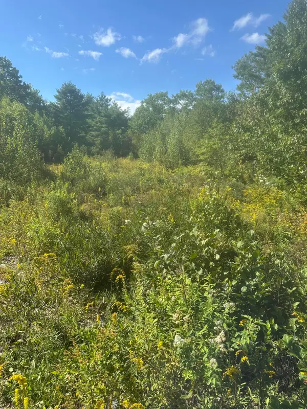 Lot 4 W Side Unionville Road, Steuben, ME 04680