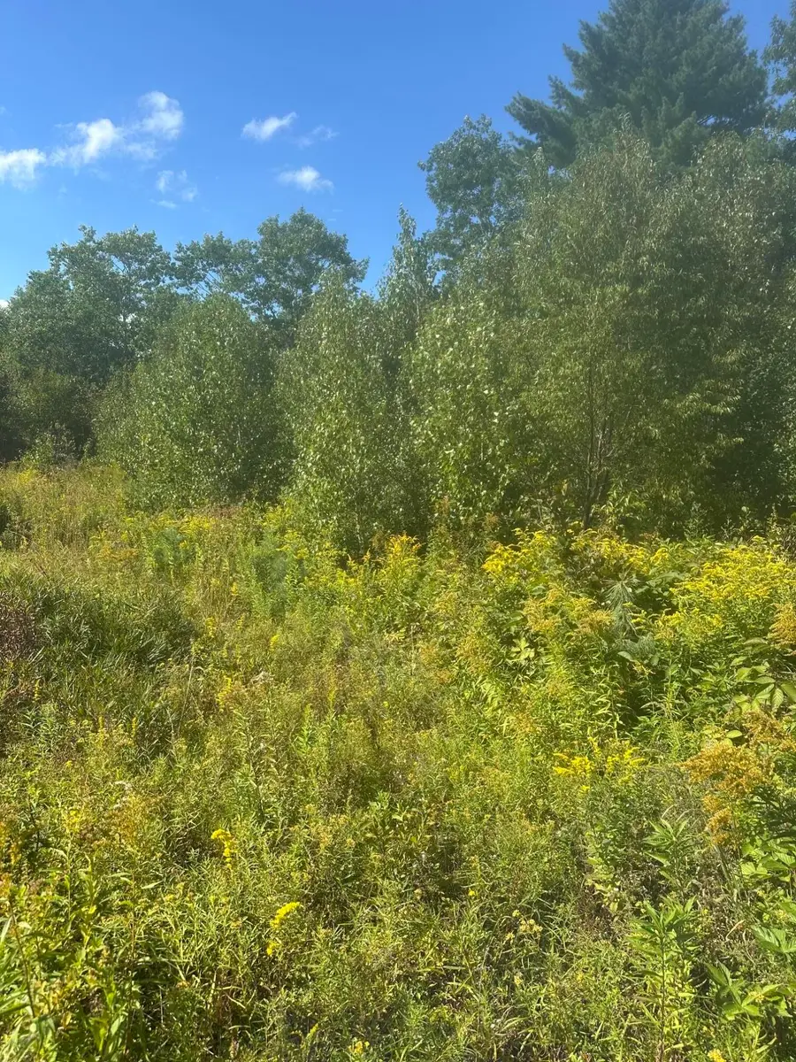 Lot 4 W Side Unionville Road, Steuben, ME 04680 - #3