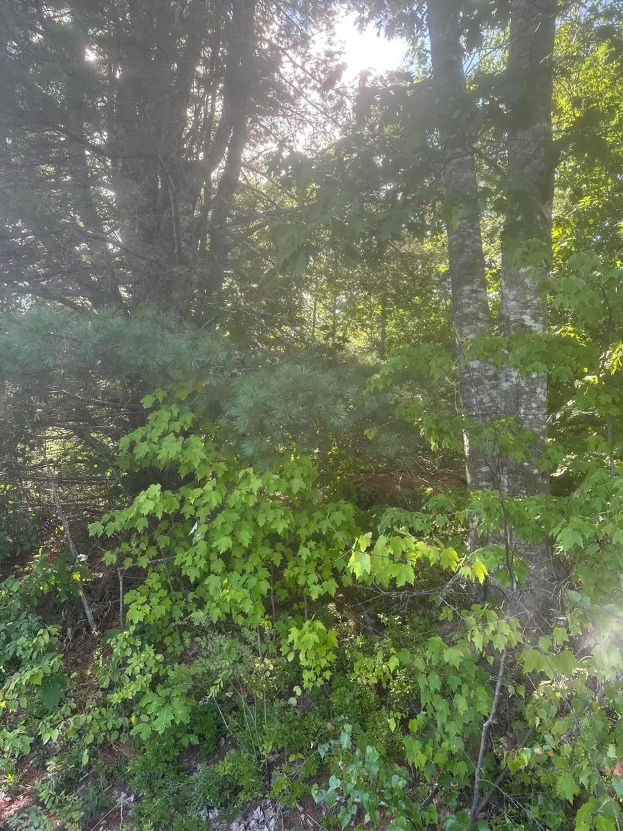 Lot 3 W Side Unionville Road, Steuben, ME 04680 - #2