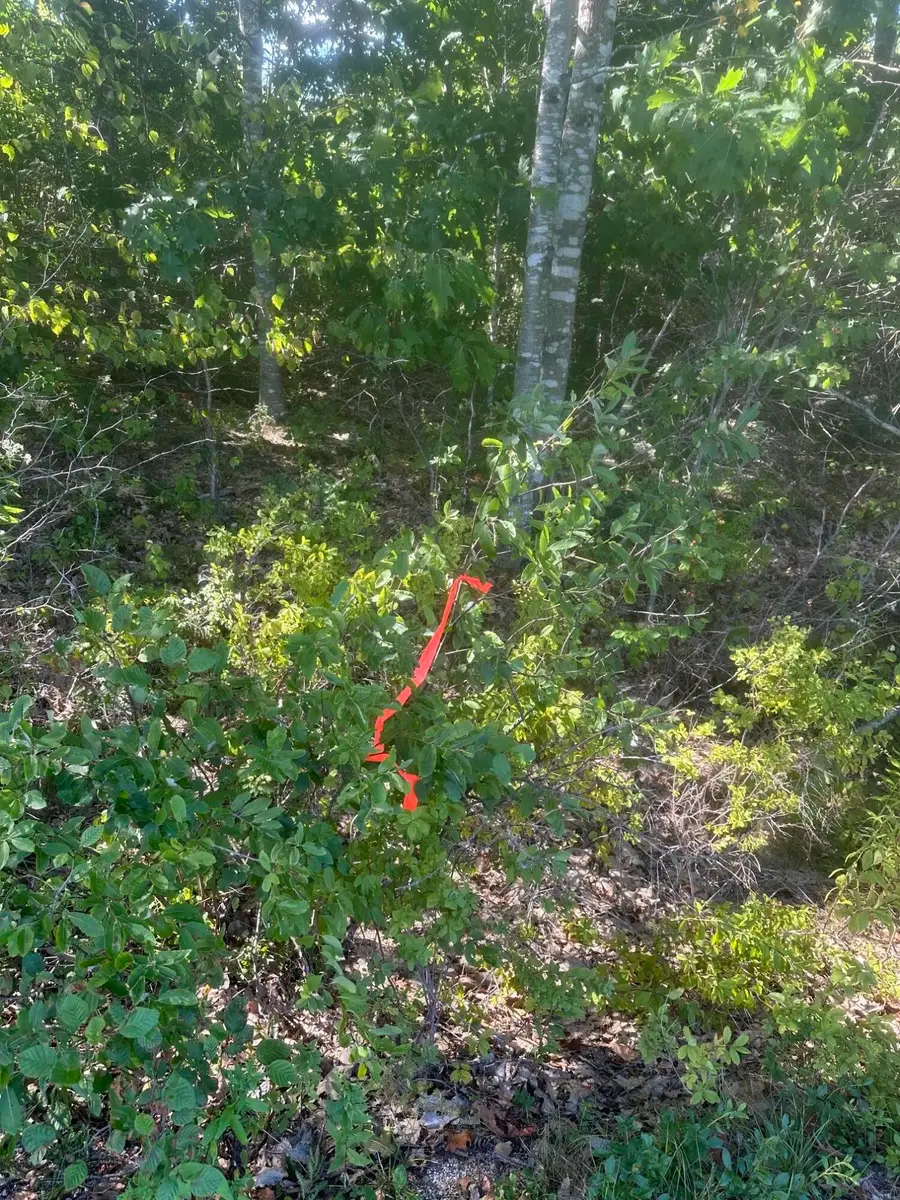 Lot 3 W Side Unionville Road, Steuben, ME 04680 - #3