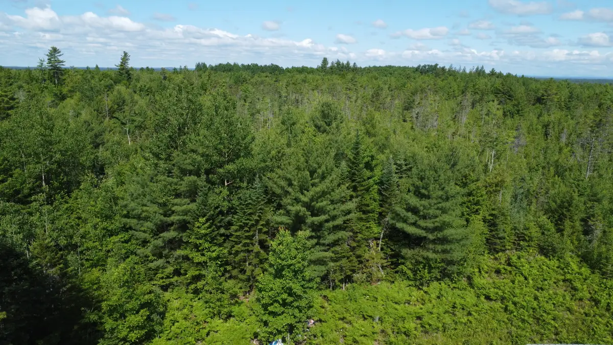 030-007 Off Cardville Road, Greenbush, ME 04418 - #1