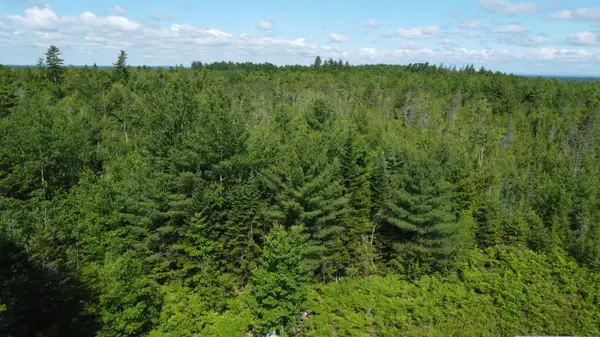 030-007 Off Cardville Road, Greenbush, ME 04418